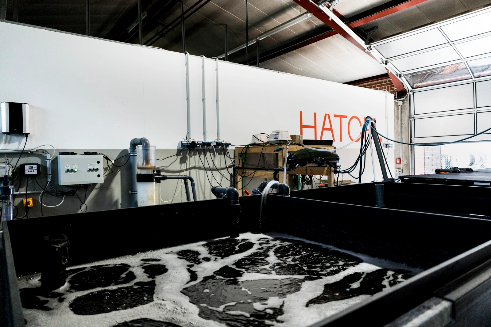 Larvenzucht ist große Kunst ...