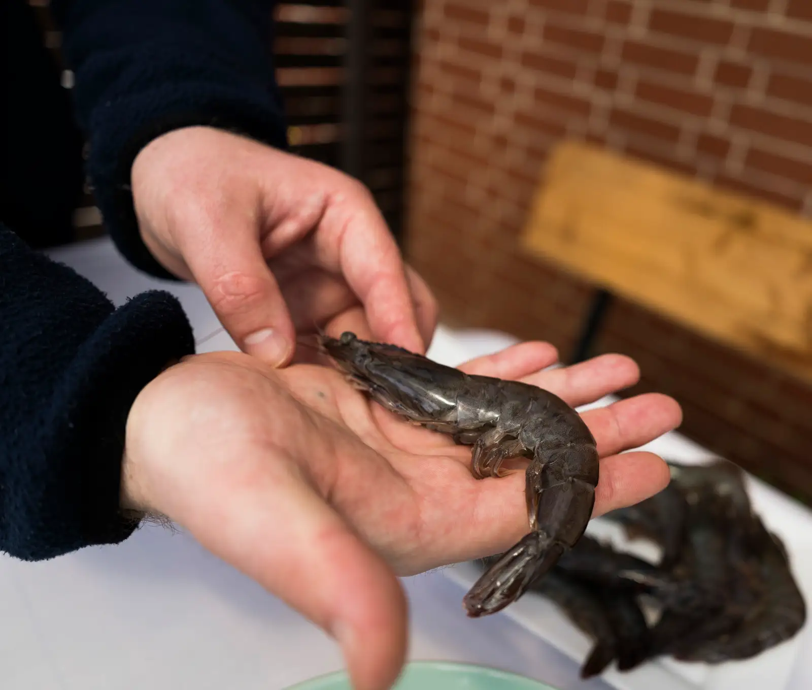 aus der Hand in die Pfanne