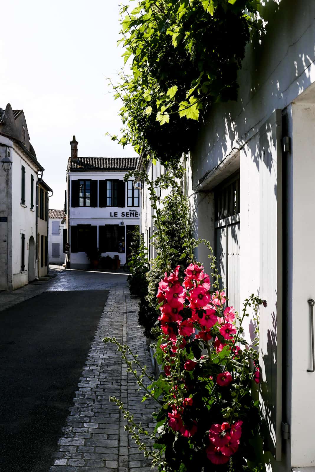 überall blüht es wunderschön