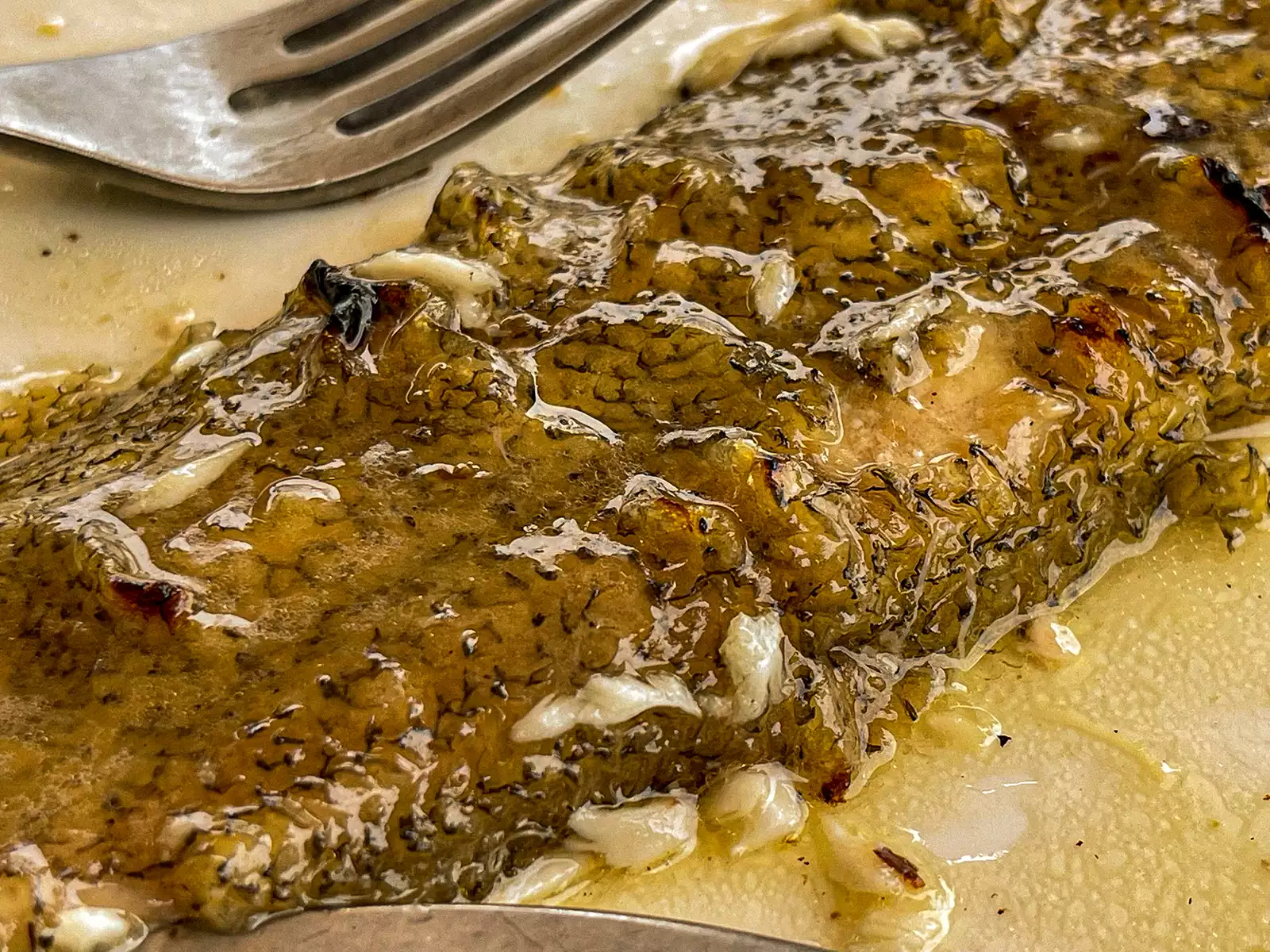 Seezunge. Auf der Haut gebraten.