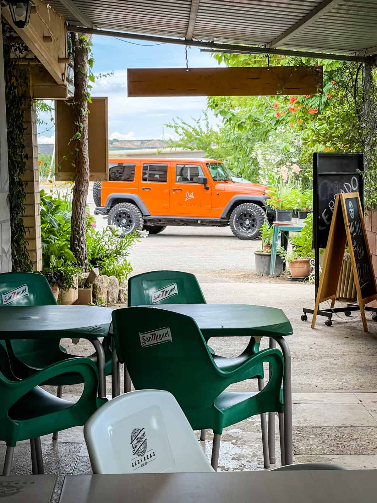 Sardinen kross gebraten mit hausgemachten Pommes